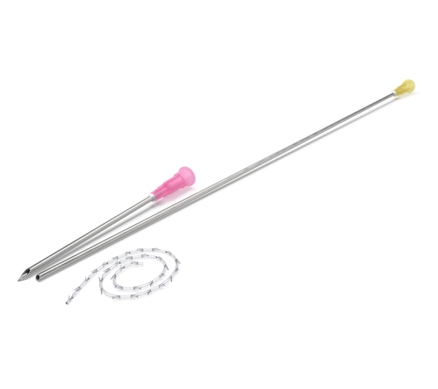 Excellence Body (EB)